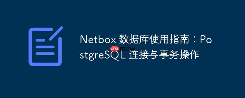 netbox 数据库使用指南:postgresql 连接与事务操作
