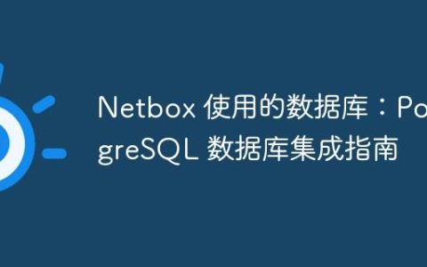 Netbox 使用的数据库：PostgreSQL 数据库集成指南