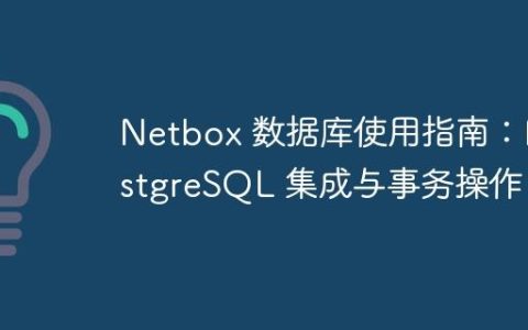 Netbox 数据库使用指南：PostgreSQL 集成与事务操作