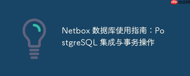 netbox 数据库使用指南:postgresql 集成与事务操作