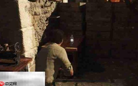 四海兄弟故乡务实珠饰是什么 务实珠饰位置说明​