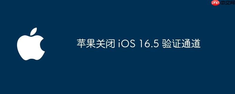 苹果关闭 ios 16.5 验证通道