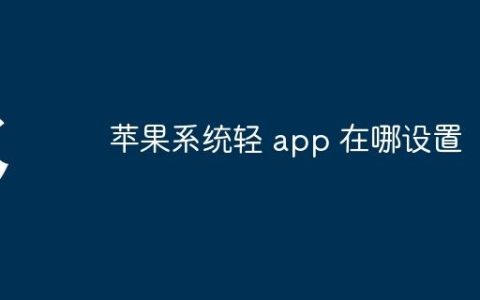苹果系统轻 app 在哪设置