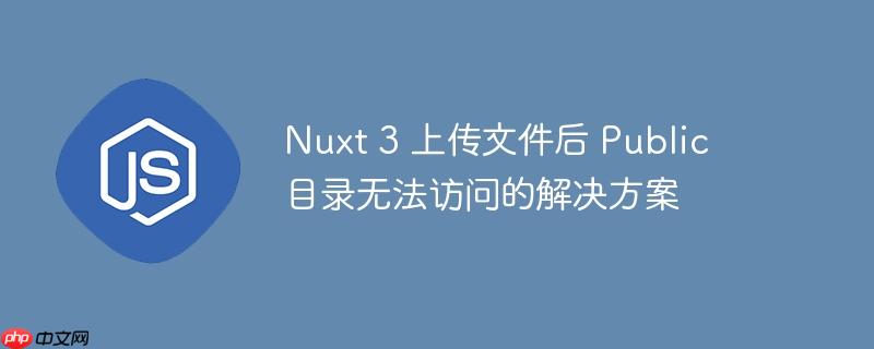 nuxt 3 上传文件后 public 目录无法访问的解决方案