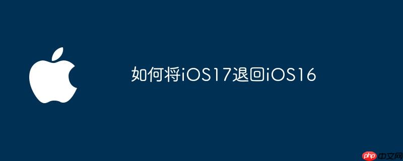 如何将ios17退回ios16
