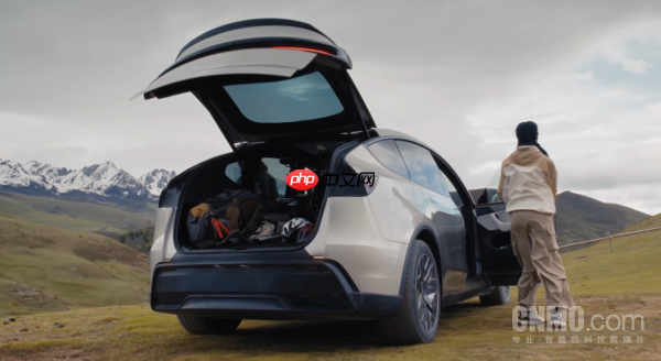 特斯拉Model Y L全面对比Model Y:更Long 也更Life