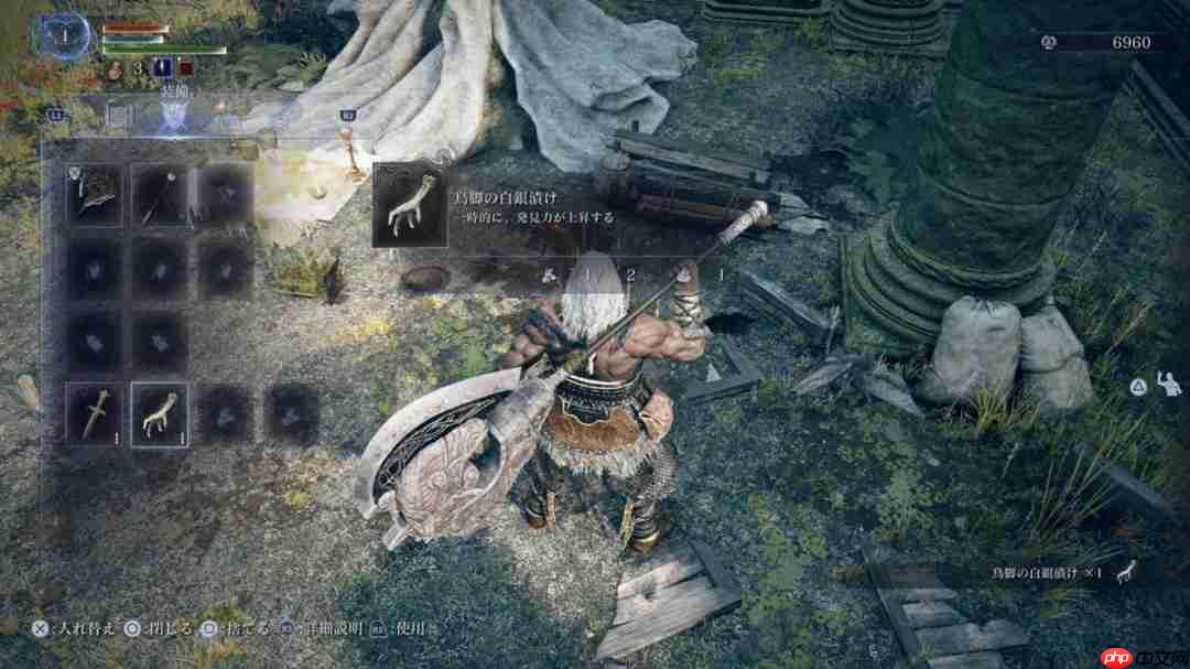 高玩称《艾尔登:黑夜君临》观察力被轻视 实测提升掉率