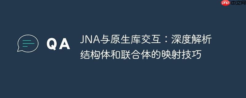 JNA与原生库交互:深度解析结构体和联合体的映射技巧