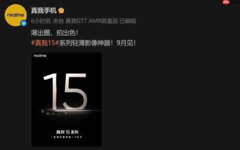 真我 15 系列取消 Pro+，全力打造“豪华版 Pro ”