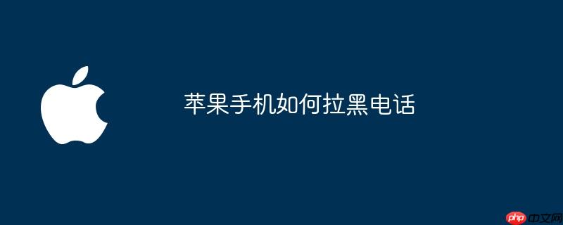 苹果手机如何拉黑电话