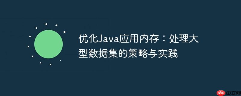 优化java应用内存:处理大型数据集的策略与实践