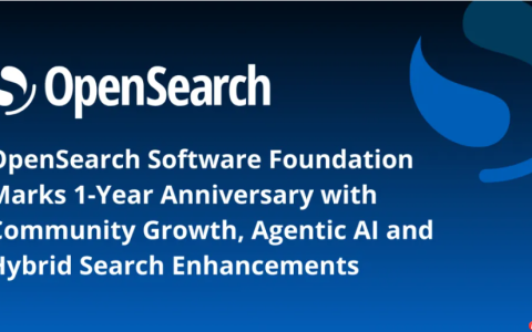 OpenSearch Software Foundation 一周年庆