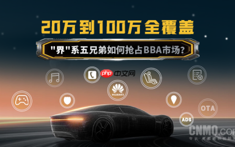 20万到100万全覆盖：“界”系五兄弟如何抢占BBA市场？