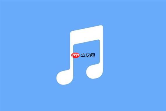 网易云音乐官网版入口-网易云音乐数据中心官网登录入口