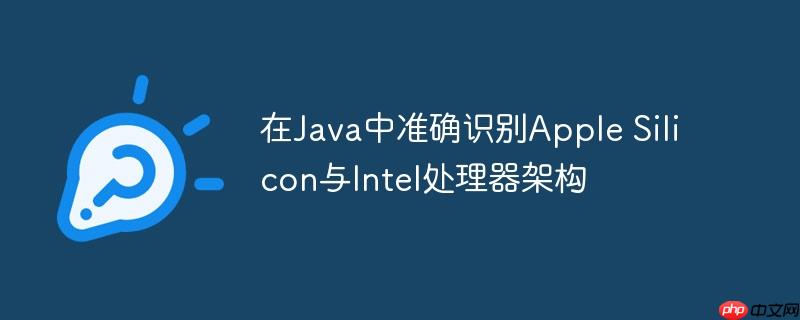 在Java中准确识别Apple Silicon与Intel处理器架构
