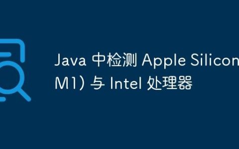 Java 中检测 Apple Silicon (M1) 与 Intel 处理器