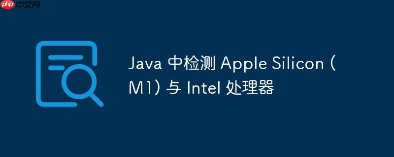 java 中检测 apple silicon (m1) 与 intel 处理器