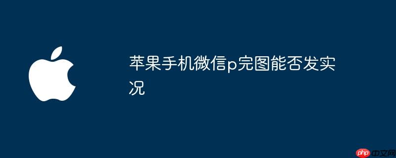 苹果手机微信p完图能否发实况