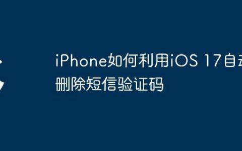 iPhone如何利用iOS 17自动删除短信验证码