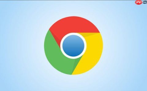 Chrome浏览器安全警告解读：官网教你辨别真假威胁与处理方法