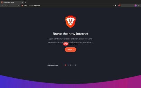 brave浏览器安全功能解析 brave中文官网地址全面介绍