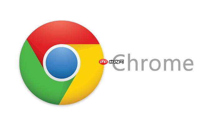 chrome浏览器官网最新版特性解析:速度与安全再升级