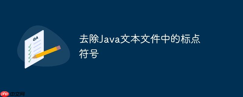 去除java文本文件中的标点符号