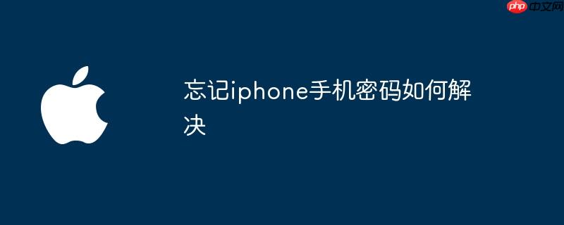 忘记iphone手机密码如何解决