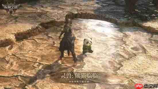 《流放之路2》国服预购倒计时!专属灵兽即将绝版