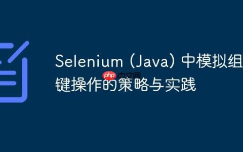 Selenium (Java) 中模拟组合键操作的策略与实践