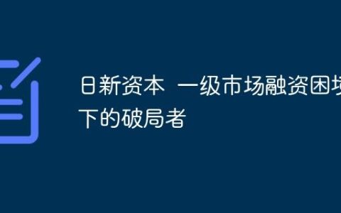 日新资本  一级市场融资困境下的破局者