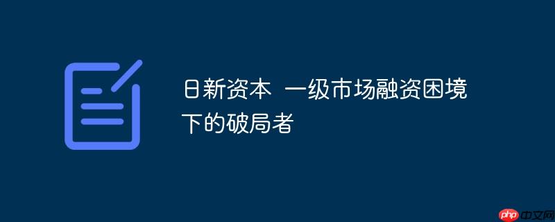日新资本 一级市场融资困境下的破局者