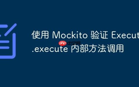使用 Mockito 验证 Executor.execute 内部方法调用