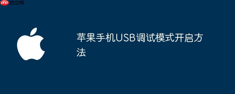 苹果手机usb调试模式开启方法