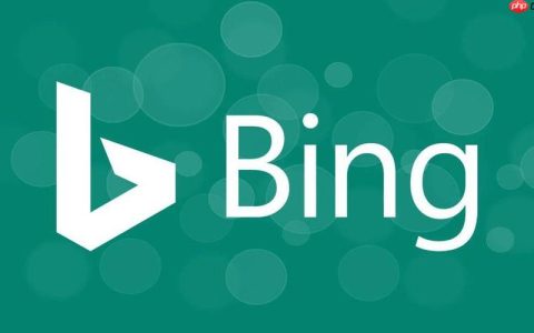 bing搜索浏览器在线快速体验 bing搜索引擎全球链接地址解析