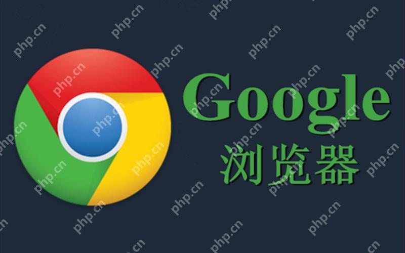 谷歌浏览器无法输入中文怎么办 - 创想鸟