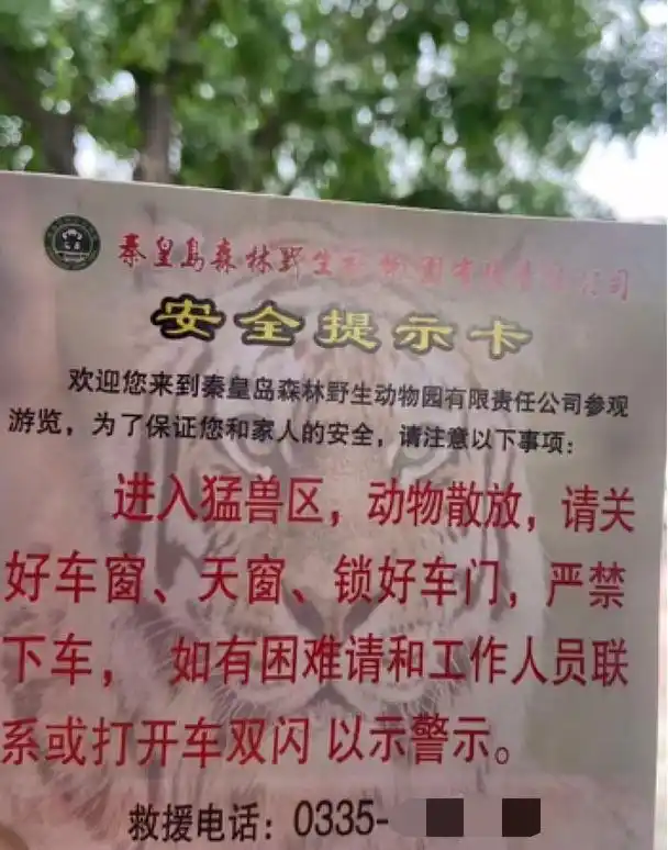 两车在秦皇岛野生动物园猛兽区发生剐蹭，多名游客下车当着老虎面吵架
