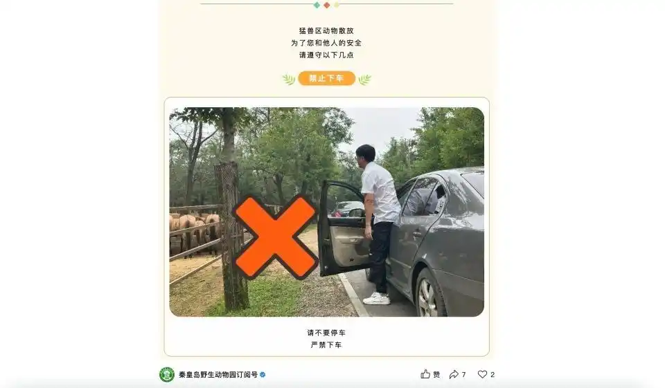 两车在秦皇岛野生动物园猛兽区发生剐蹭,多名游客下车当着老虎面吵架 - 创想鸟