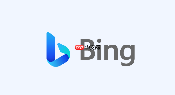bing在线搜索浏览器操作指南 bing搜索引擎链接快速访问教程
