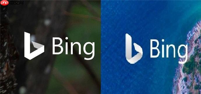 bing国际搜索浏览器在线体验 bing搜索引擎链接快速使用指南