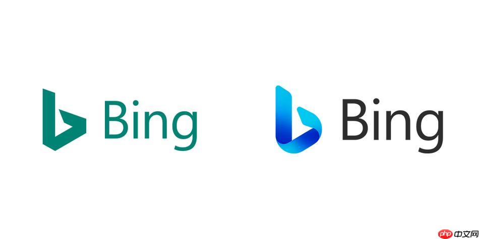bing国际版浏览器在线使用技巧 bing搜索引擎高效检索方法分享