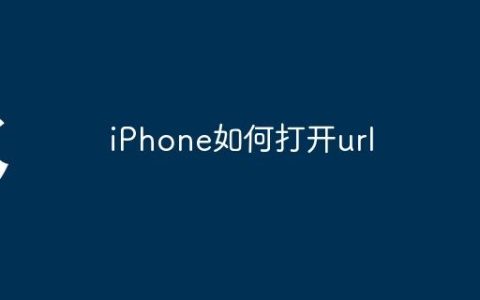 iPhone如何打开url