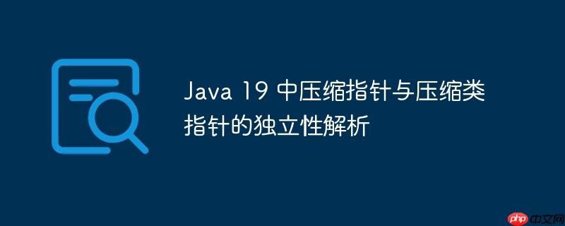 Java 19 中压缩指针与压缩类指针的独立性解析