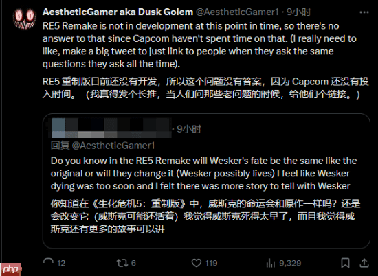 消息人士谈为何不重制生化5/6:卡普空员工精力有限
