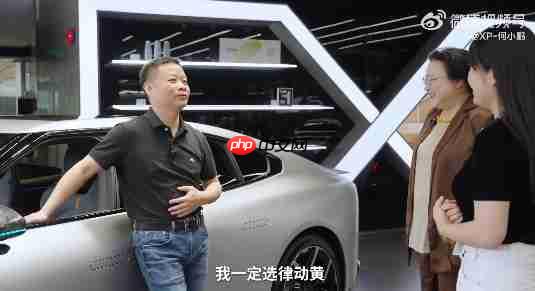 王凤英给何小鹏交付全新小鹏P7:没有鹏翼门的鹏翼版