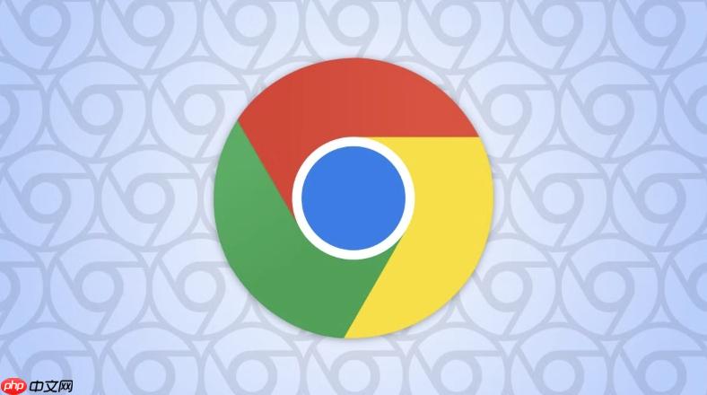 谷歌浏览器隐私模式错误-google浏览器隐私问题解决步骤