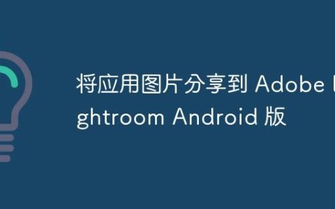 将应用图片分享到 Adobe Lightroom Android 版