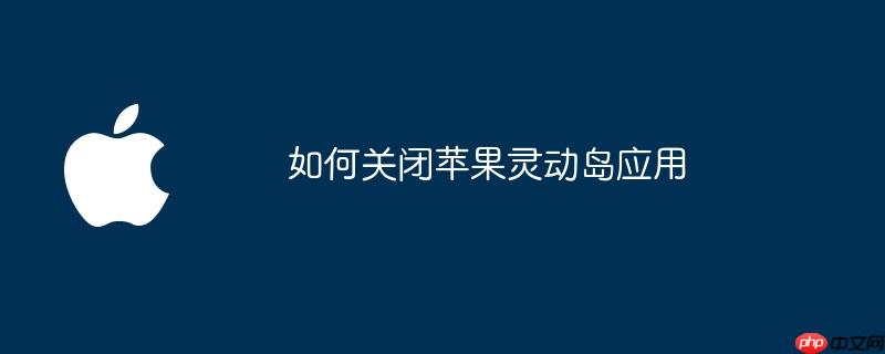 如何关闭苹果灵动岛应用
