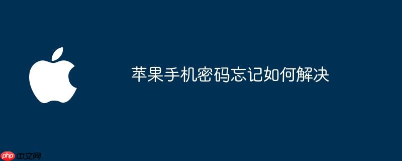 苹果手机密码忘记如何解决