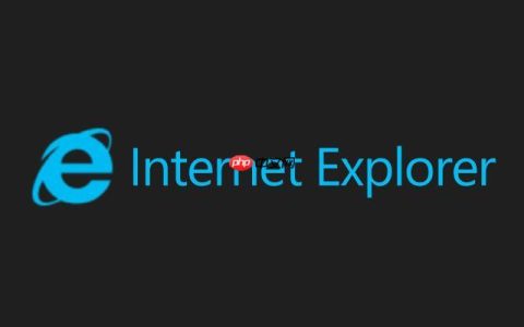 ie浏览器绿色版官方入口-ie高速浏览器网页版登录链接
